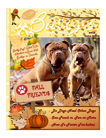 Fall 2022 issue Fall 2022