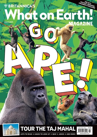March 2024 issue March 2024