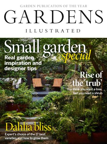August 2024 issue August 2024