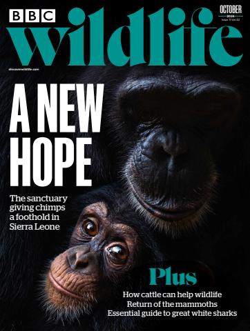 October 2024 issue October 2024