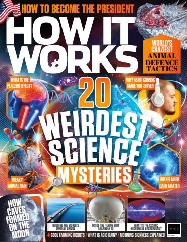 Issue 195 issue Issue 195