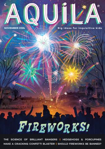 Fireworks issue Fireworks