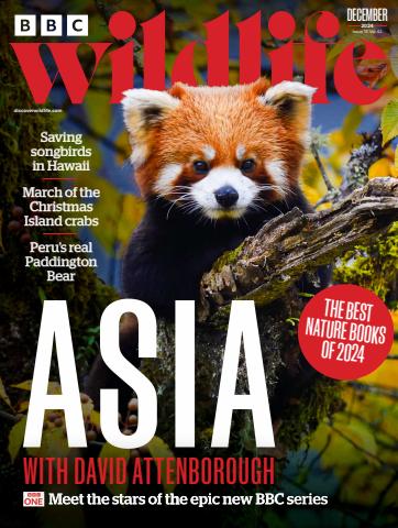 December 2024 issue December 2024