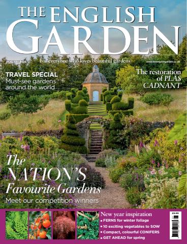 Jan-25 issue Jan-25