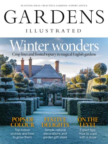 December 2024 issue December 2024