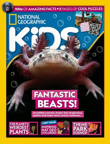 Issue 230 issue Issue 230