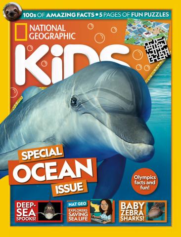 Issue 232 issue Issue 232