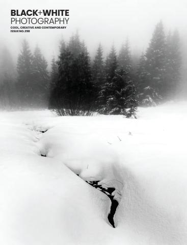 Issue 298 issue Issue 298
