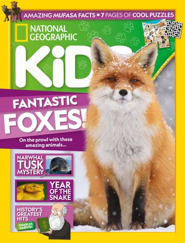 Issue 239 issue Issue 239