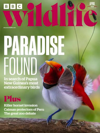 BBC Wildlife Magazine issue 