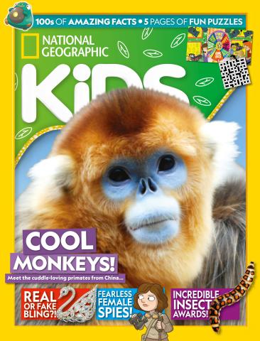 Issue 242 issue Issue 242