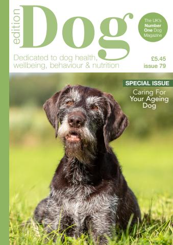 Edition Dog 79 issue Edition Dog 79