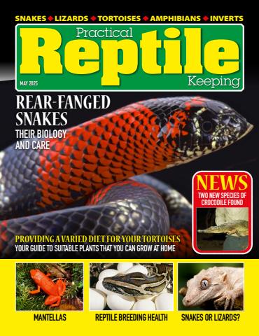 Practical Reptile Keeping issue May 2025